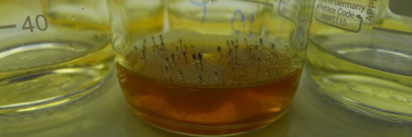 Natural Products banner