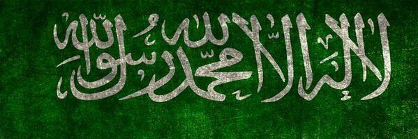توحة بخاري banner