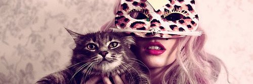 Pauparra's profile banner image