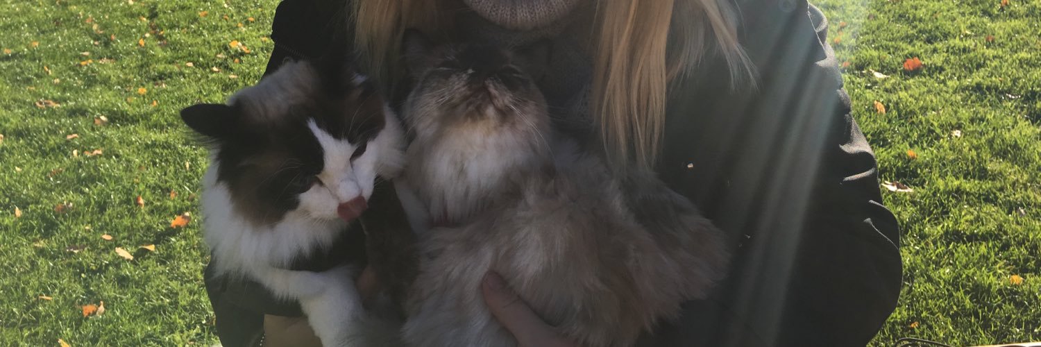 emma_engman's profile banner image