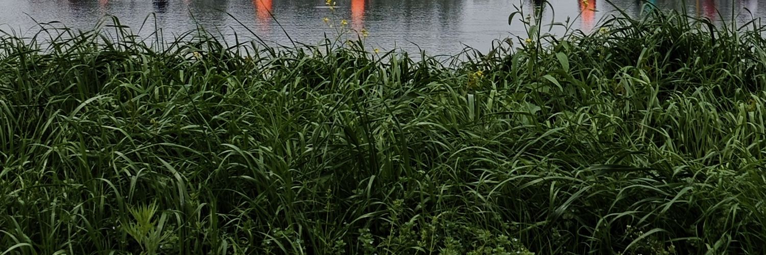 zoplaplace's profile banner image
