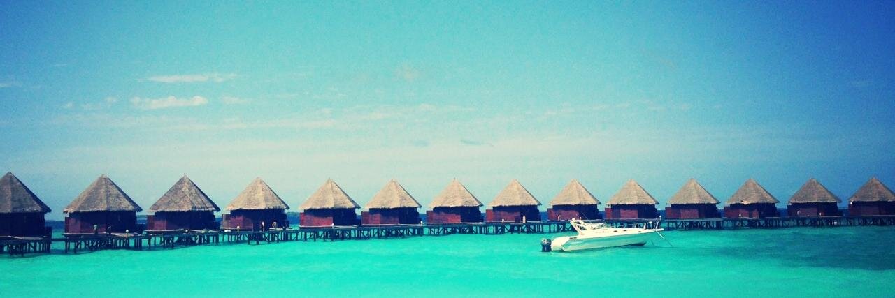 Stèphanie Gerritsen banner