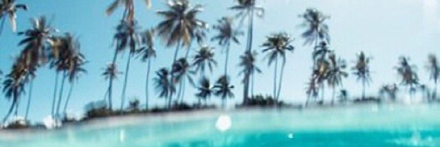 Macarena_DT's profile banner image