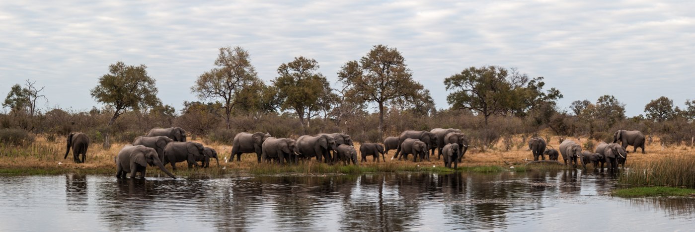 Really Right Stuff banner