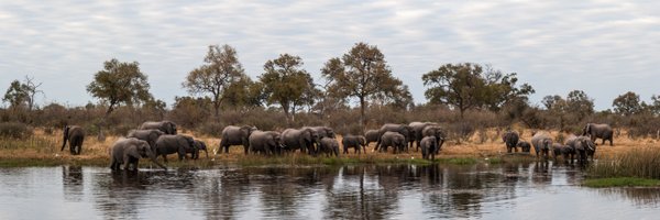 ReallyRightStuf Profile Banner