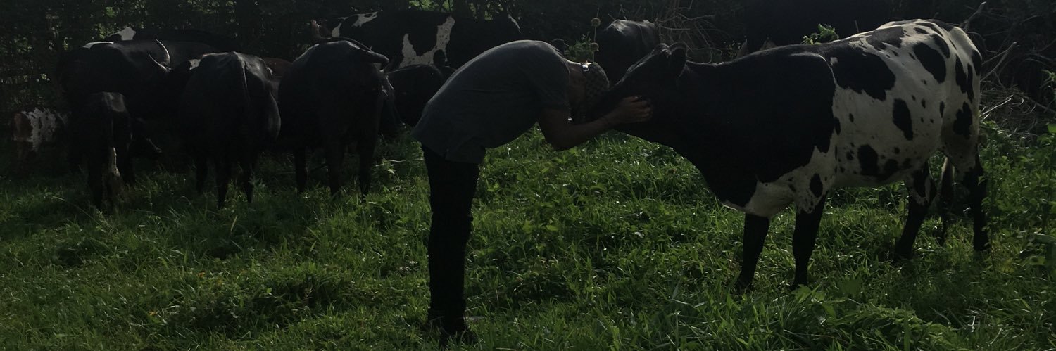 DelboyOfficial's profile banner image