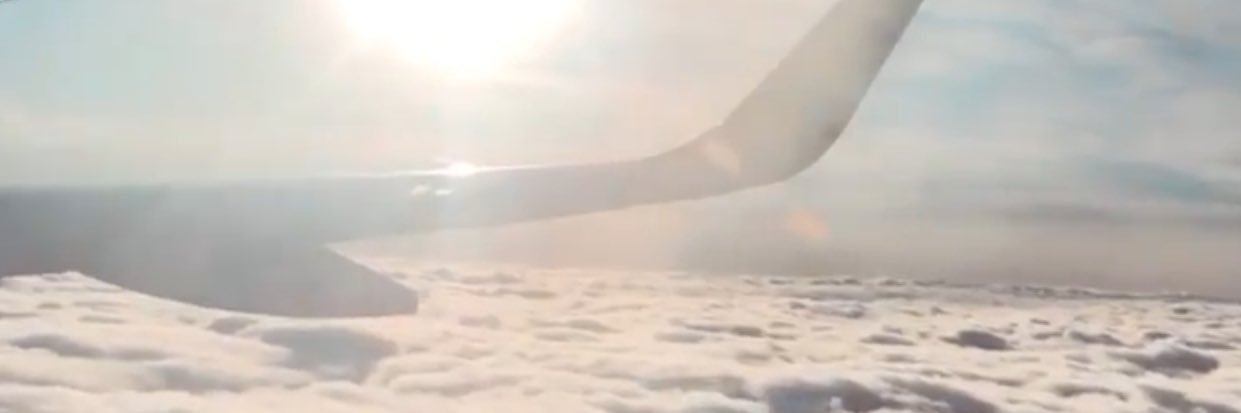 nekonenemasa's profile banner image