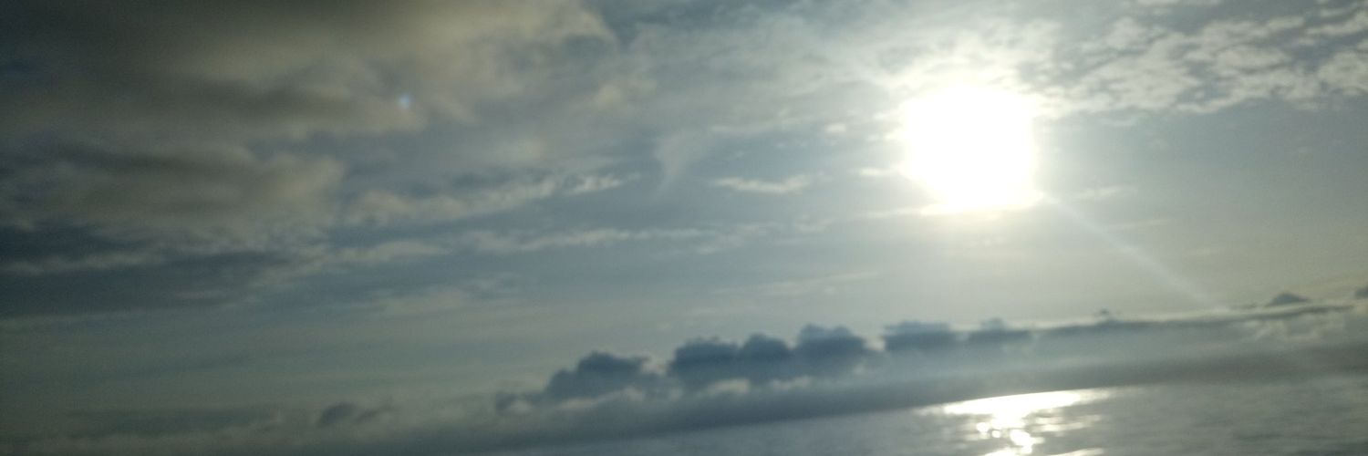 David Sierra banner