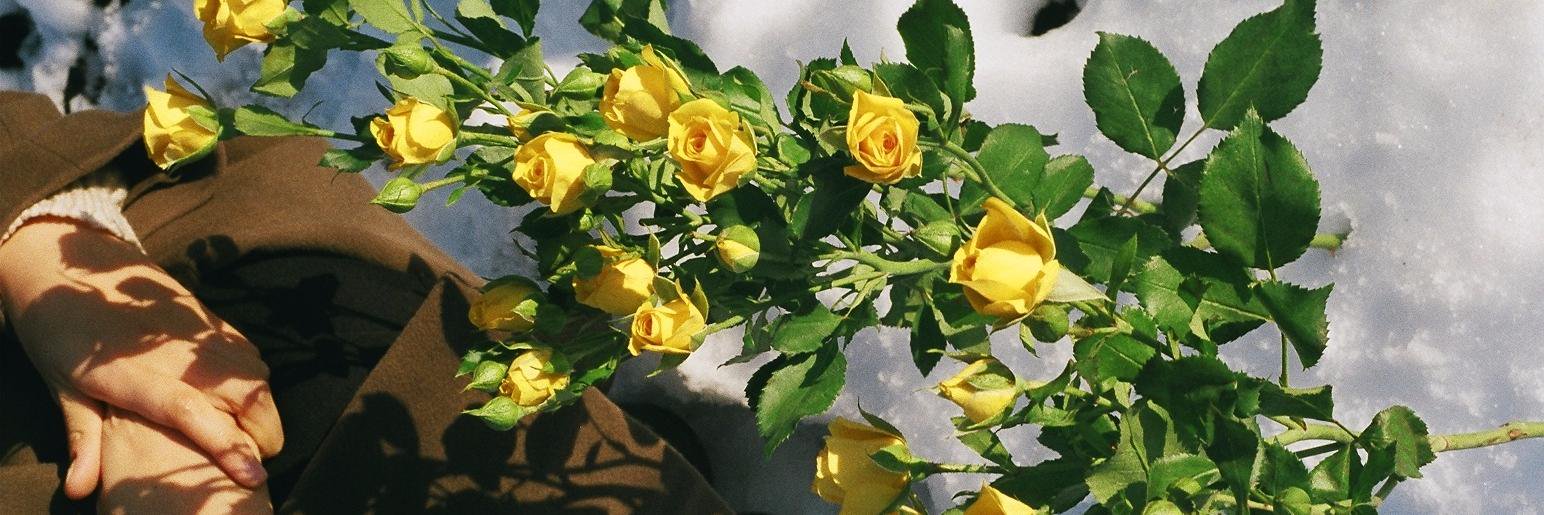 marieeabe's profile banner image