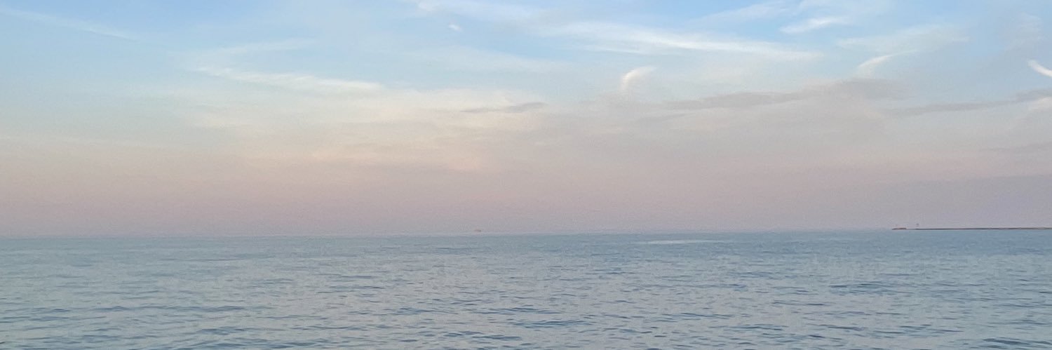 annamerod's profile banner image