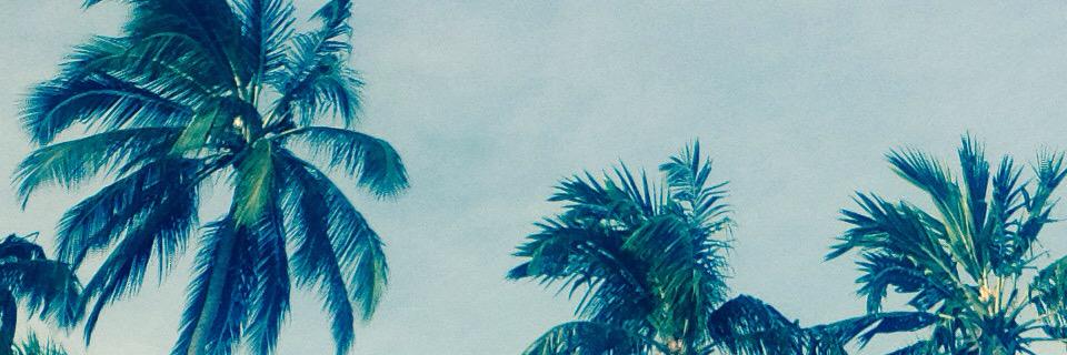 victorcapato's profile banner image