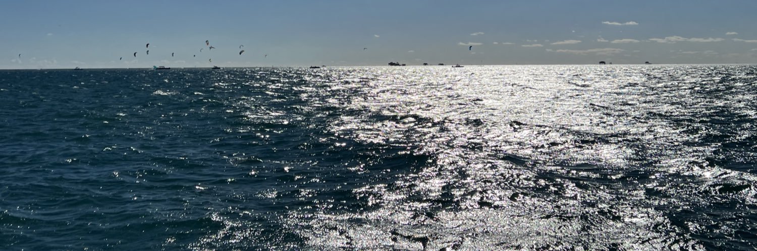 Raul J de la Vega banner