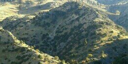 danivera69's profile banner image