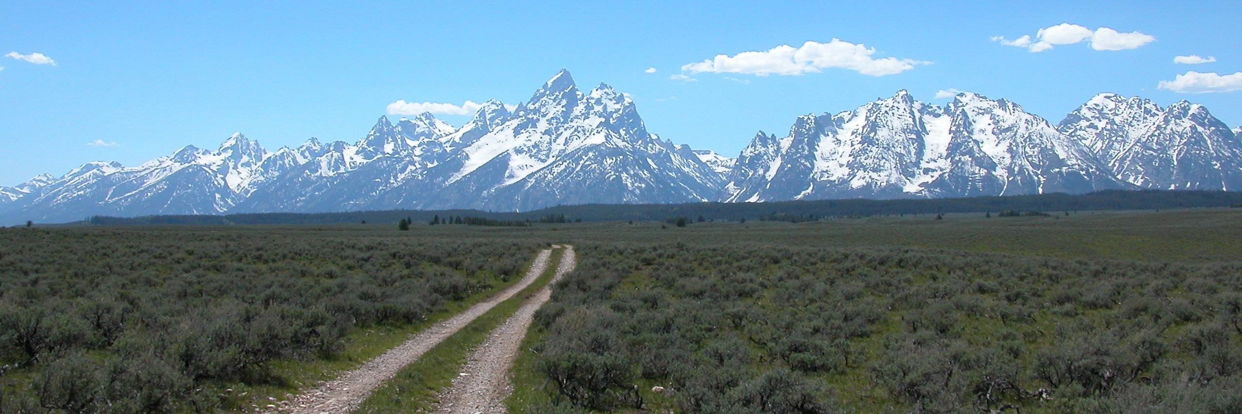 McCarthyShannon's profile banner image