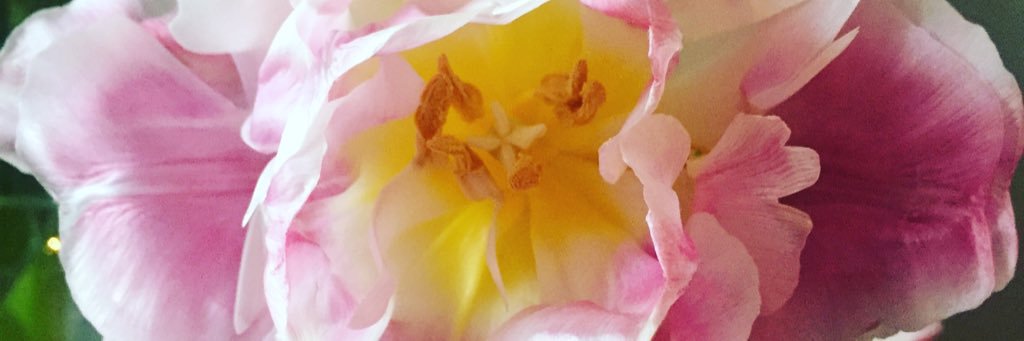 Laborde87's profile banner image