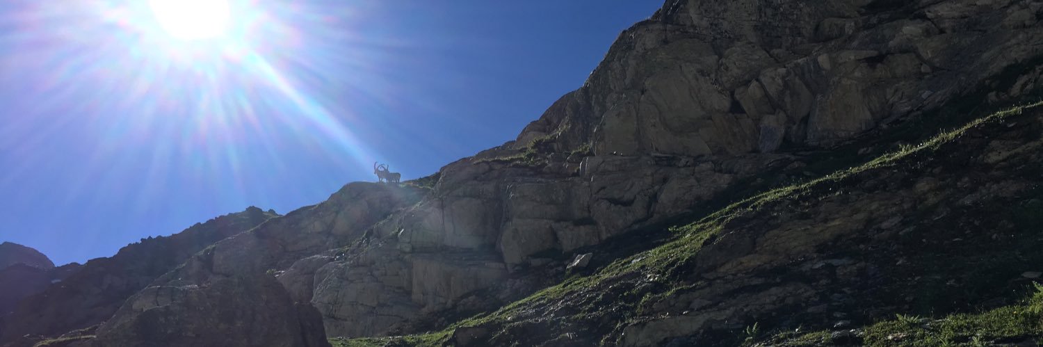 Steffen Hebestreit banner