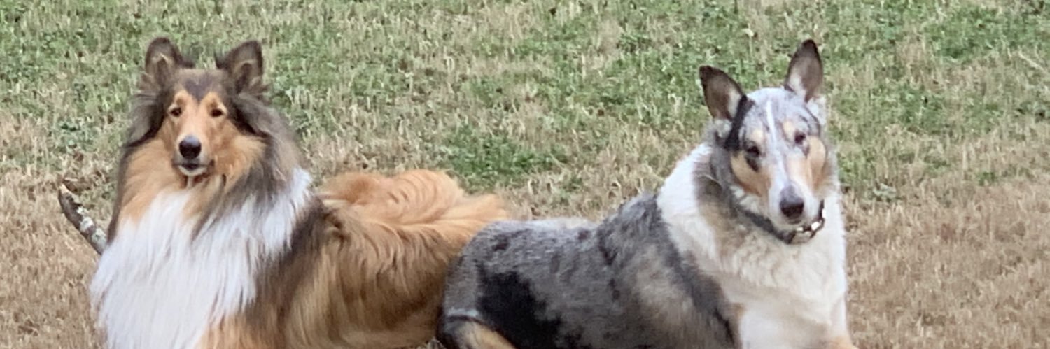 nesbit_'s profile banner image