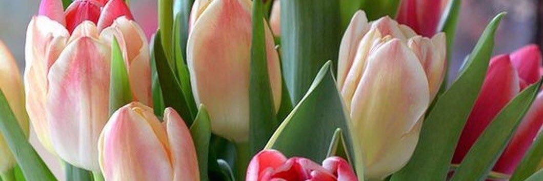 MadelineHart3's profile banner image