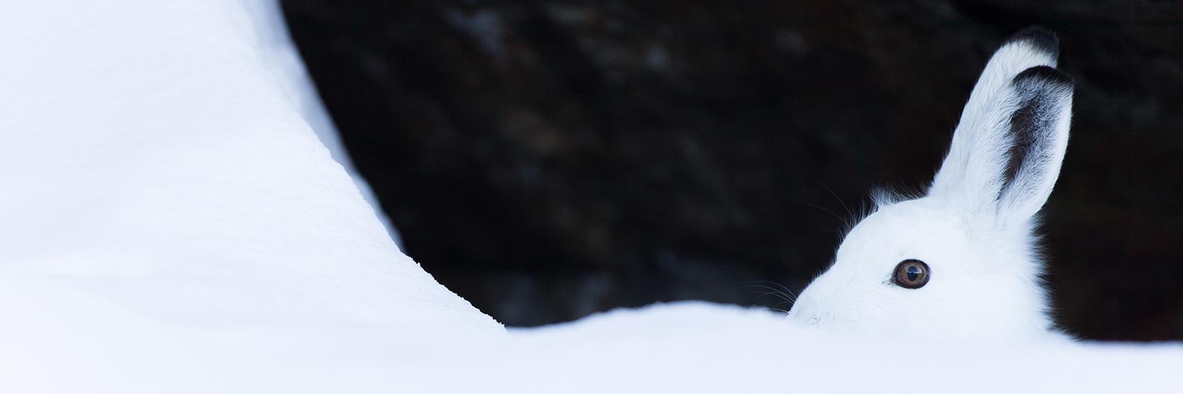 DanielR18218859's profile banner image