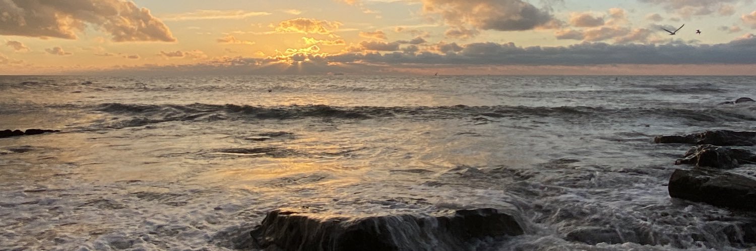 MtldeKpln's profile banner image