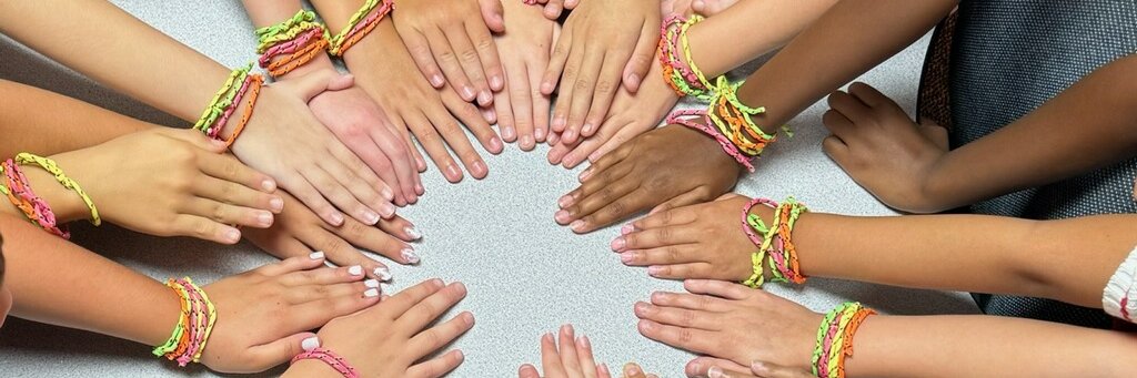 Oswego Community Unit School District 308 banner