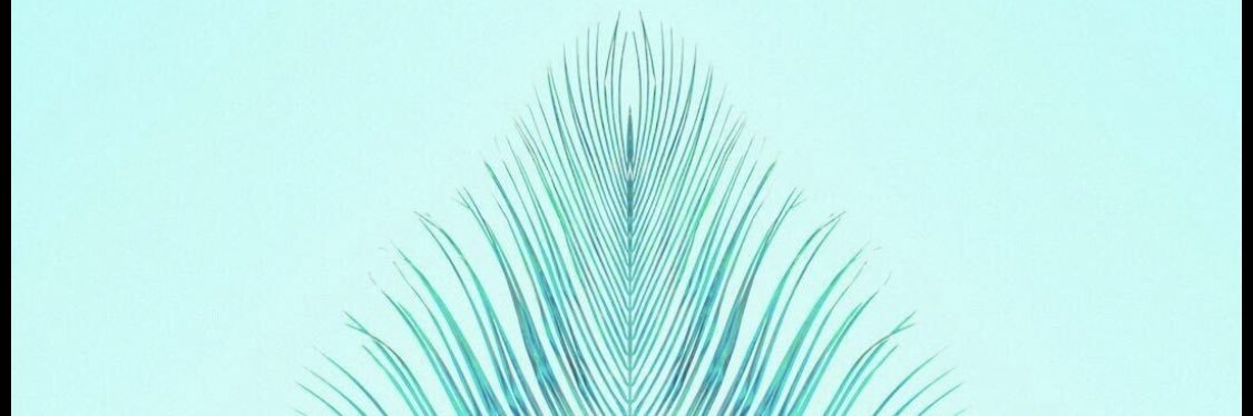 fato_2013's profile banner image