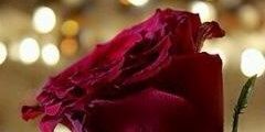 hmas1411's profile banner image