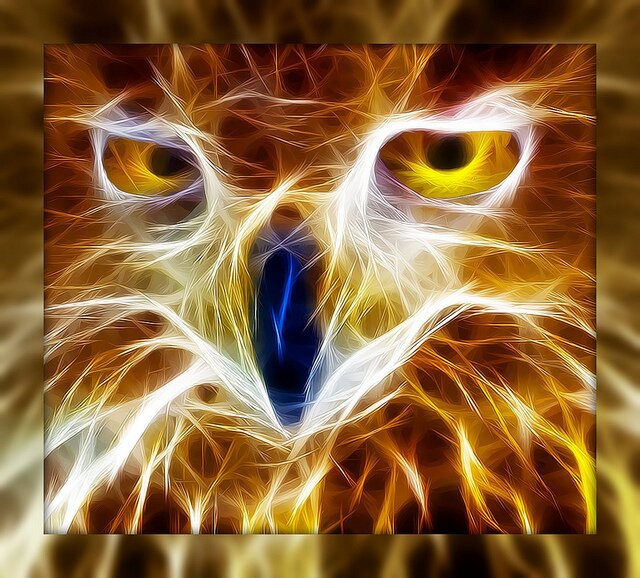 THE REAL NYTOWL banner
