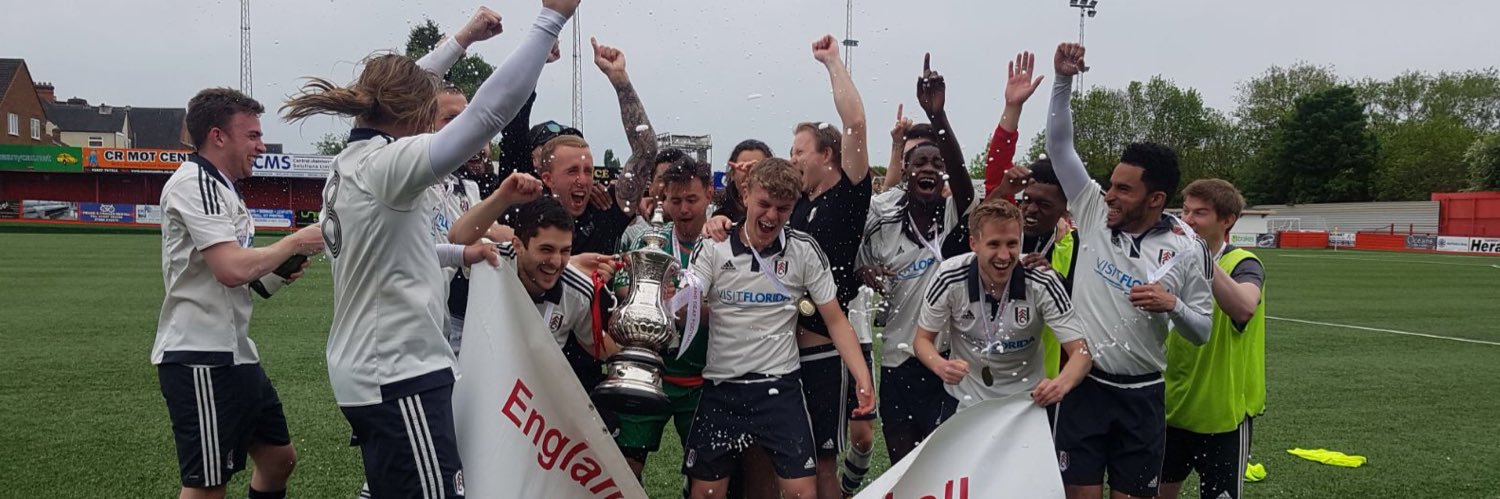 Fulham DFC banner