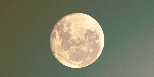 dausdott's profile banner image