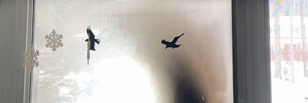 aitakst's profile banner image