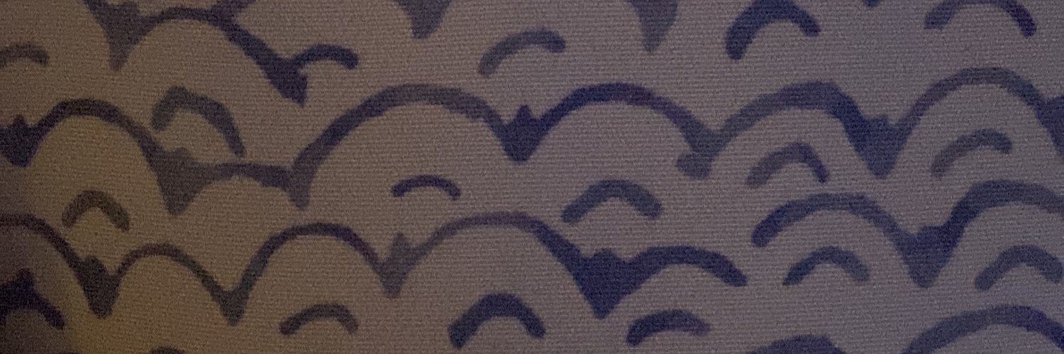 cat12398765's profile banner image