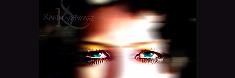 karinschwarz's profile banner image
