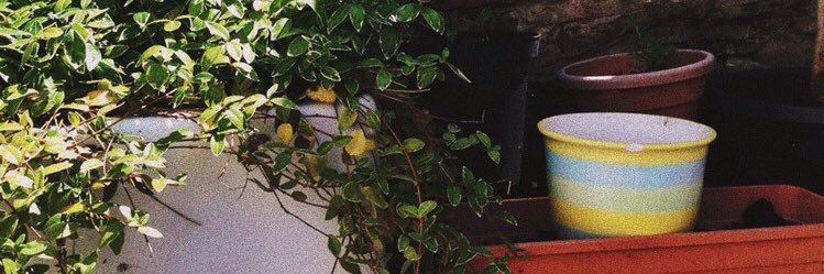 e_lllinor's profile banner image