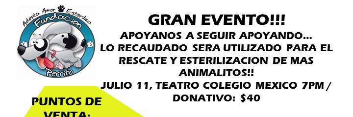 FPerrito's profile banner image