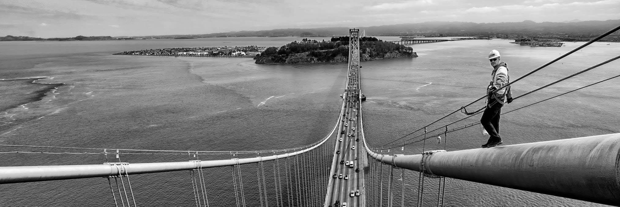 Alexander Rose banner