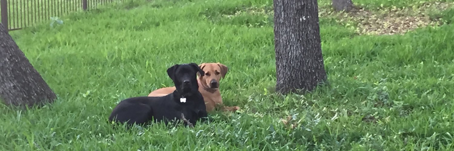 Helpfultangent on Spoutible banner