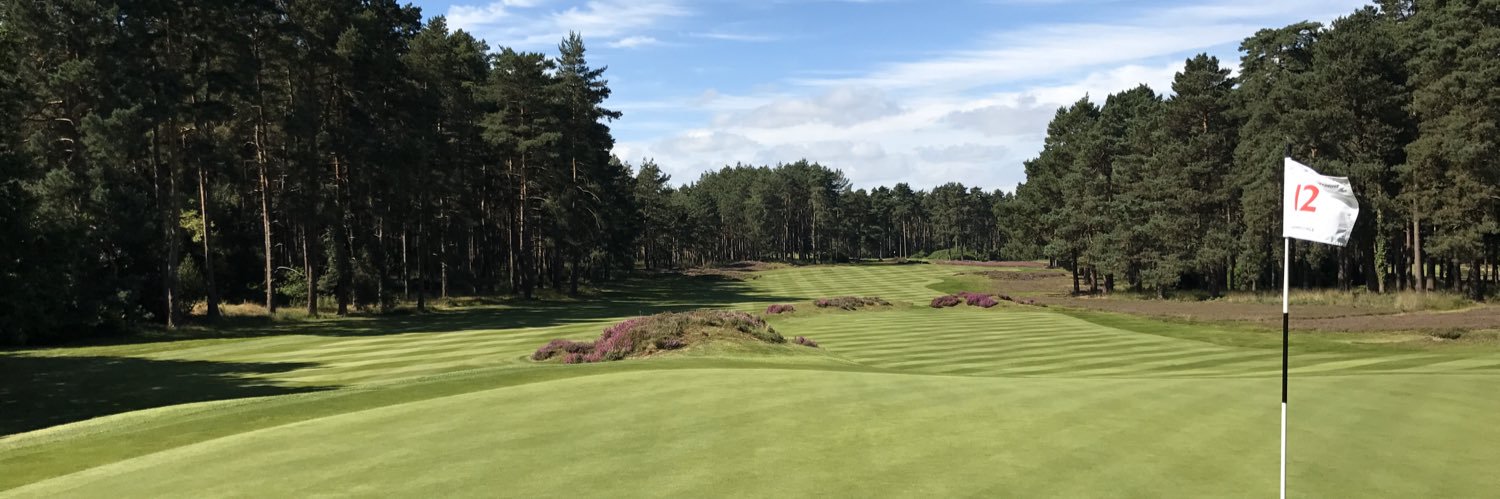 George Pitts MG banner