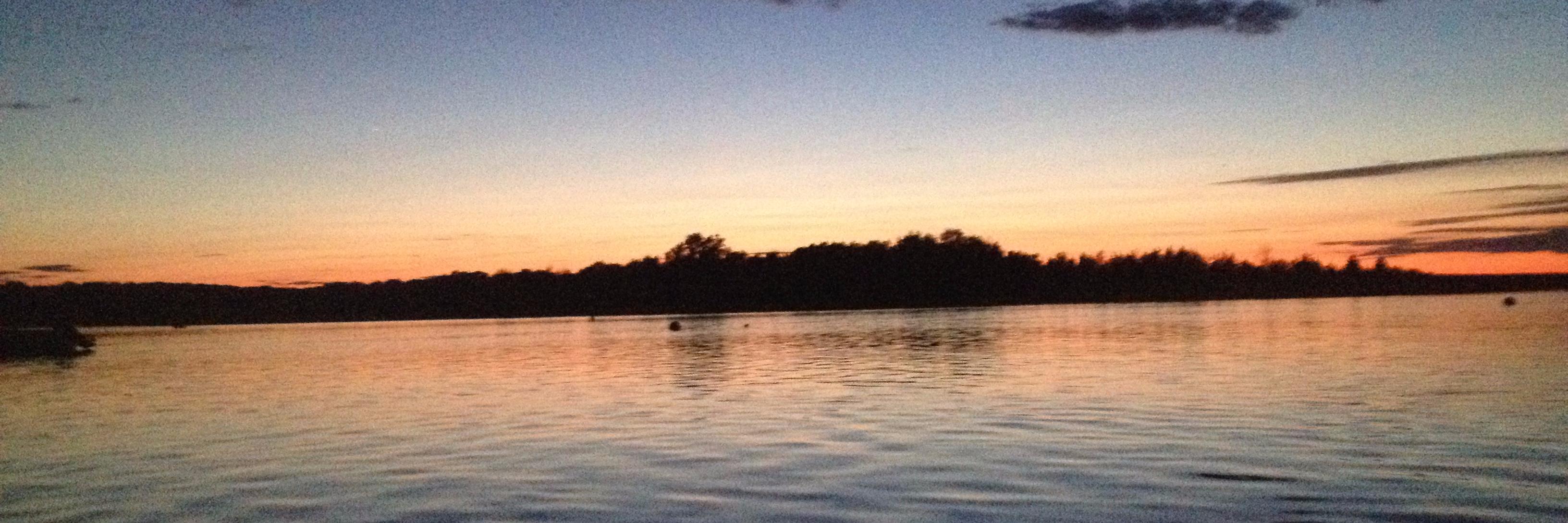 MaryEllenCaruso's profile banner image