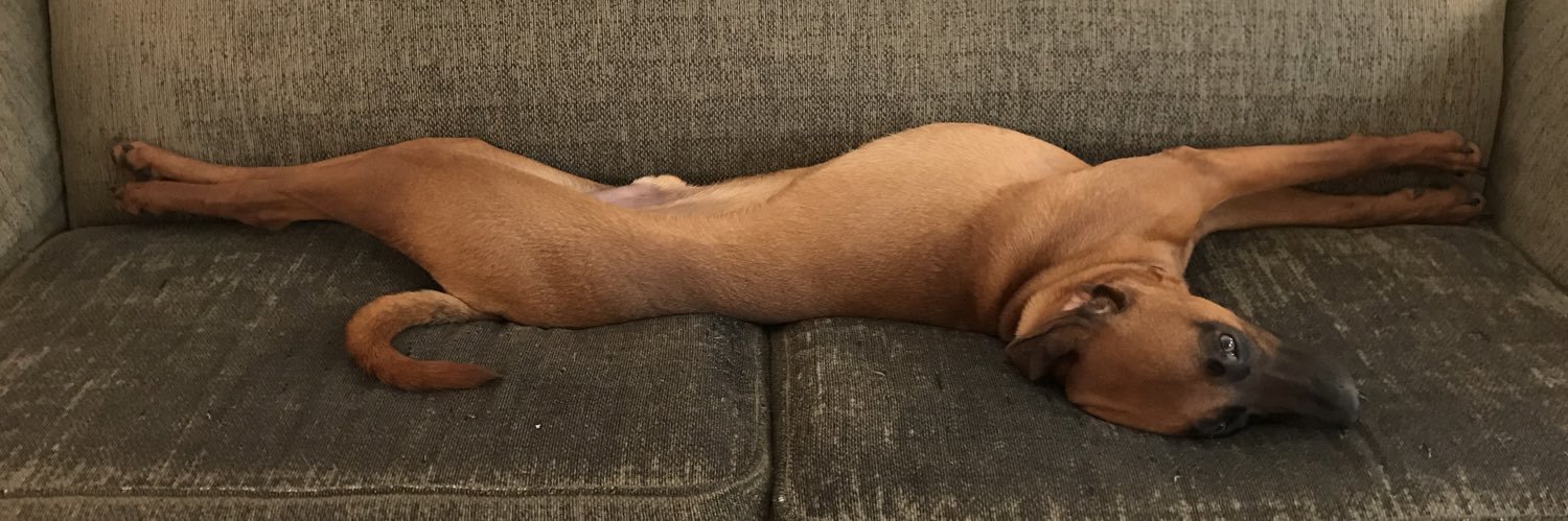 OttoRedboneRuns's profile banner image