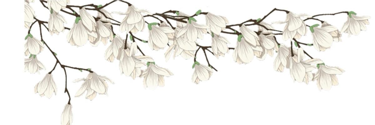 Beeet1's profile banner image