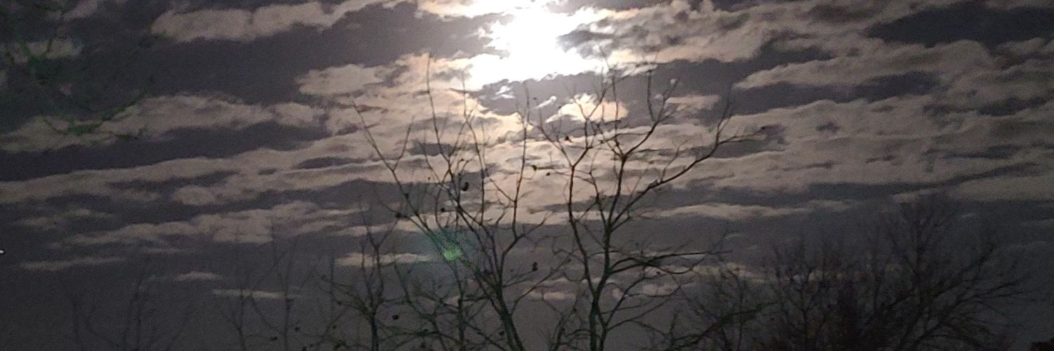 dshaw817's profile banner image