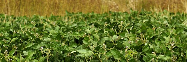 BenjaminLAMMERT Profile Banner