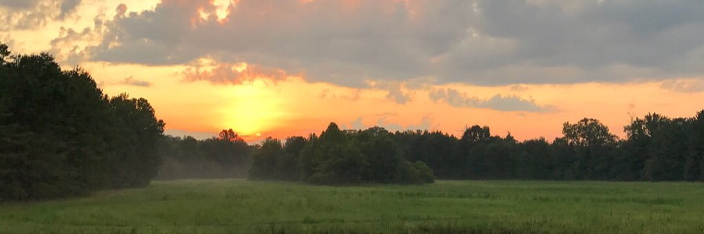ThomasBoutwell's profile banner image