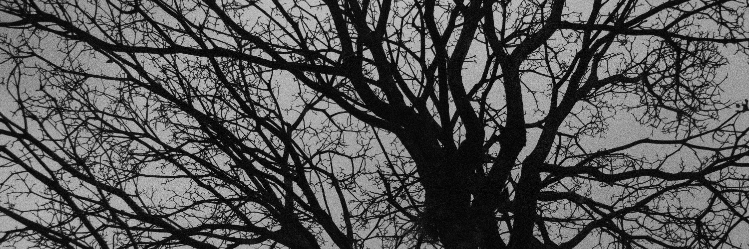 brenddaow's profile banner image