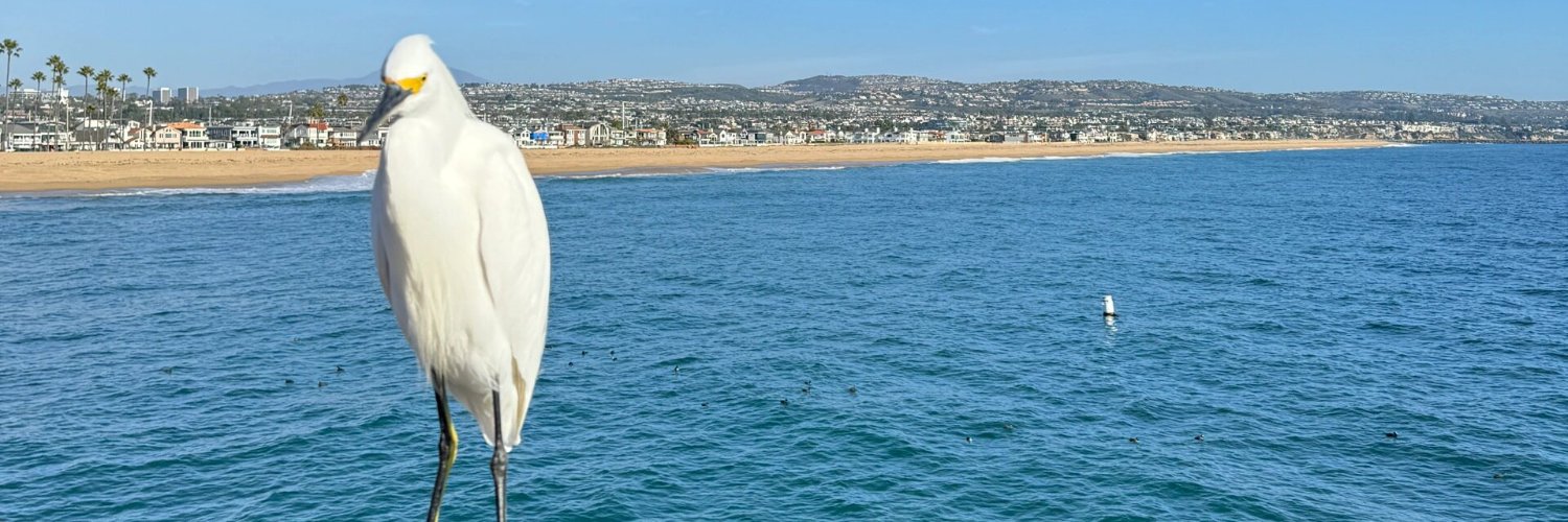 FlaimAugst's profile banner image