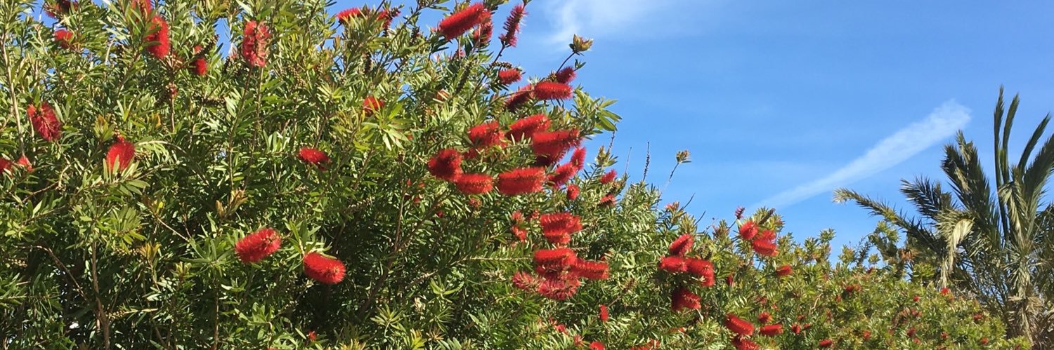 Patricia Laurent 🇫🇷 🇪🇺 🇺🇦 banner