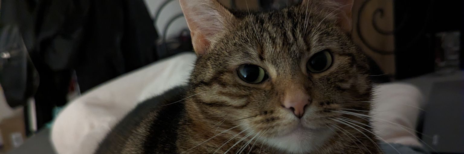 •Kimberly• banner