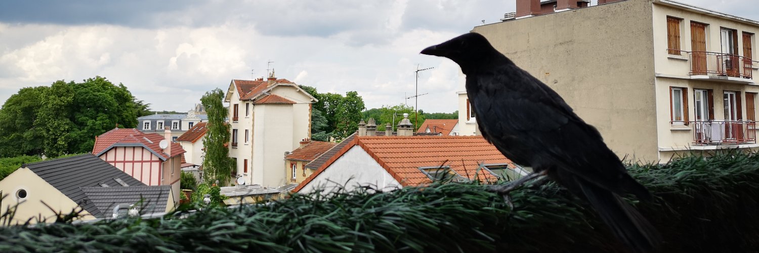 InkCSGO's profile banner image