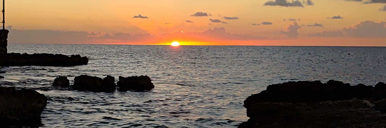0soPolar's profile banner image